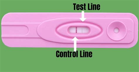invalid pregnancy test results|How to Avoid a Pregnancy Test Error .